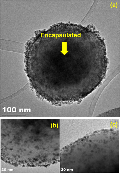 (a) TEM image of 4, (b) TEM image of magnified 4, (c)TEM image of 3rd recycled of 4.