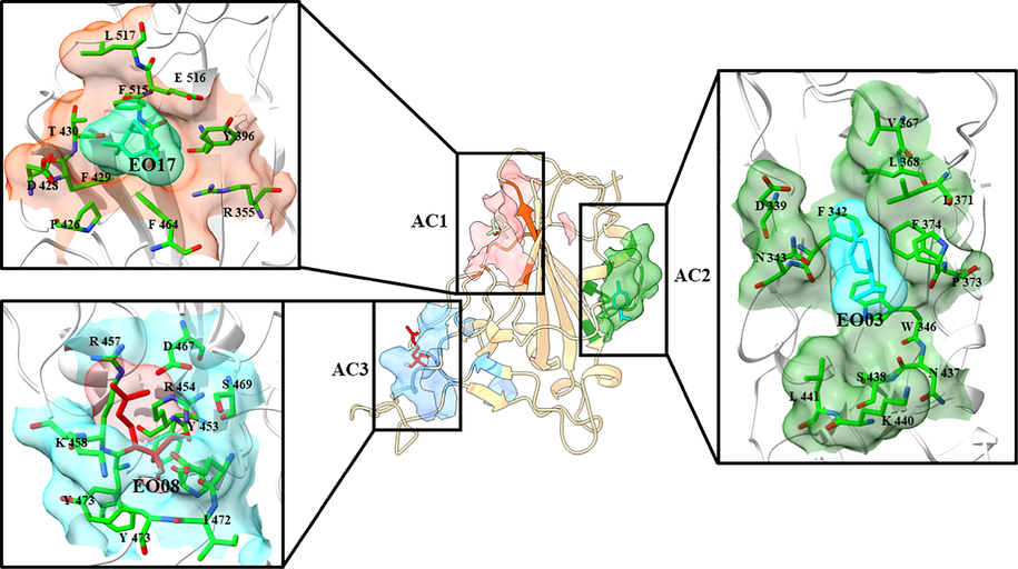 Surface and maps of AEO components docked into binding sites of RBDOmicrion different active centres.