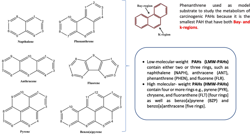 PAHs Chemical structures along with the ring numbering (Nzila, 2018; Ghosal et al., 2016).