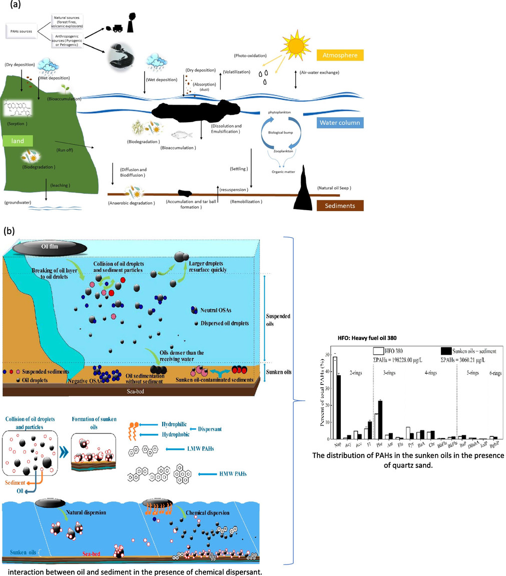 (a) Weathering Process of PAHs in the environment and (b) Formation and the fate of sunken and suspended oils in the marine environment (Li et al., 2020).