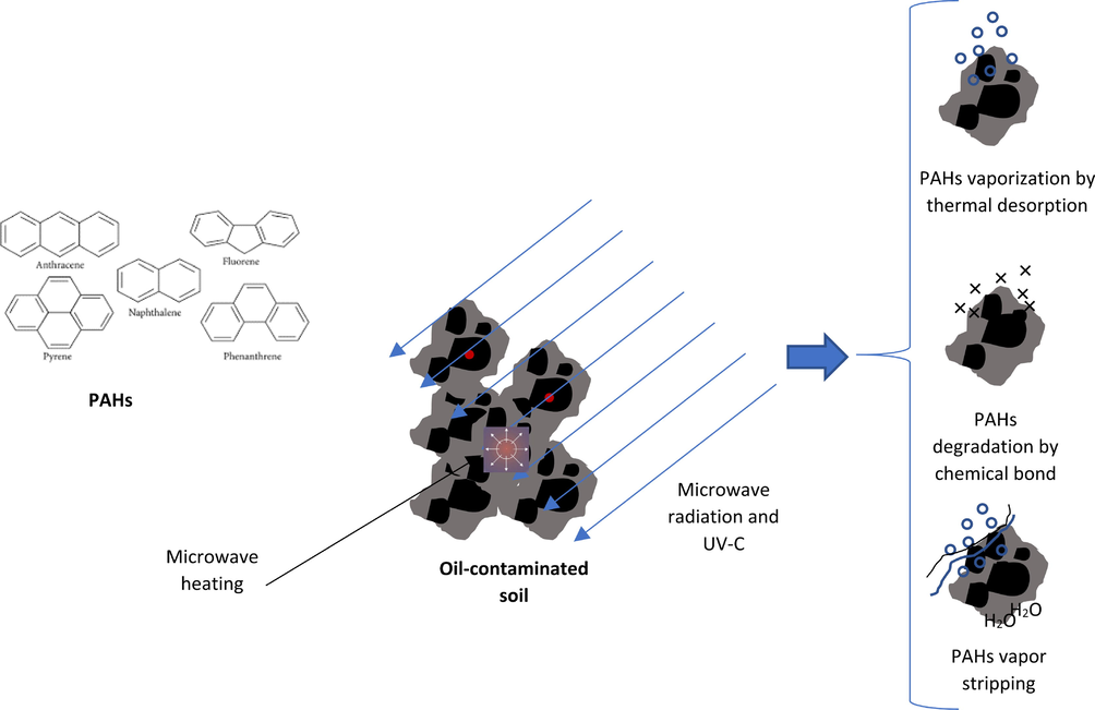 Mechanisms of PAHs degradation during microwave irradiation heating (Eldos et al., 2020).