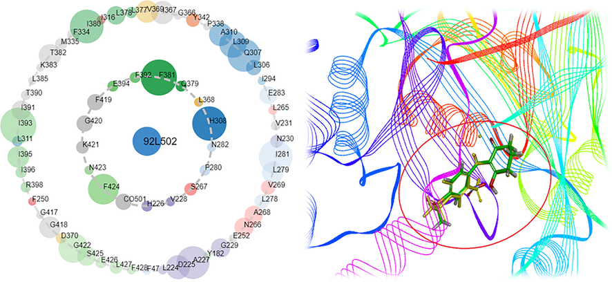 (A) The asteroid plot of ligands and residues and (B) Ligand docking diagram in crystal complex.