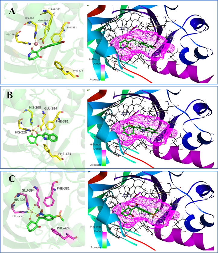 The receptor–ligand interactions of (A) mesotrione, (B) compound W1 and (C) compound W2 at the HPPD binding site.