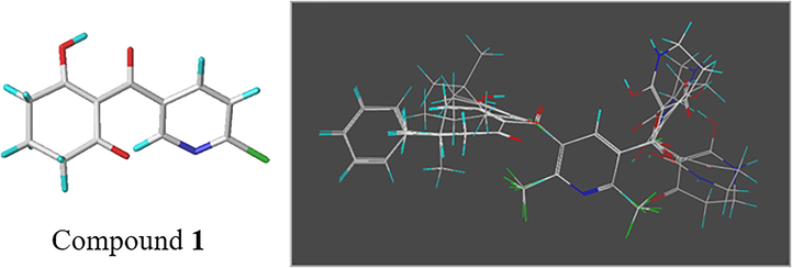 3D-QSAR molecular superposition of the training and test sets using compound 1 as the template.