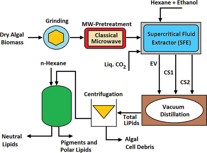 The process of extracting biodiesel fuel from microalga using supercritical C O 2 .