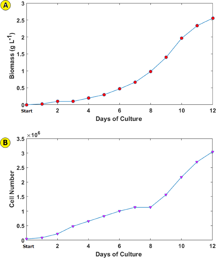 Dunaliella Tertiolecta microalga biomass produced (a), cell number (b) and, pH change (c) during 12 days of culture.