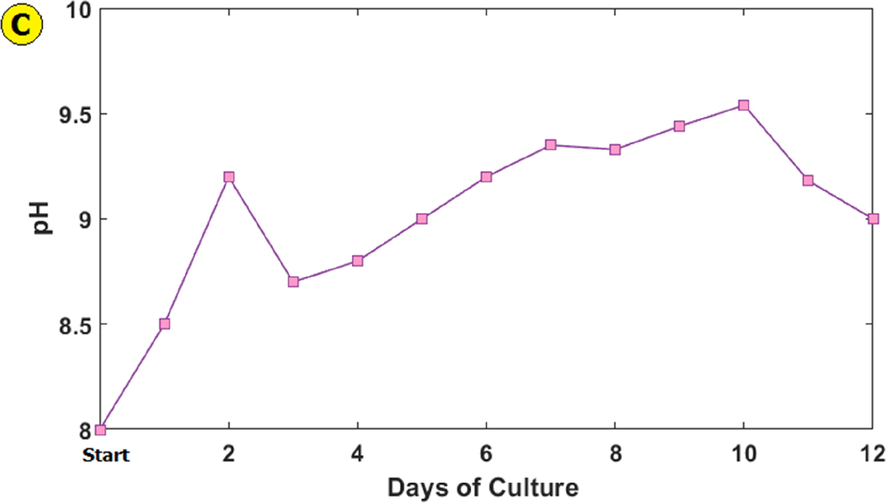 Dunaliella Tertiolecta microalga biomass produced (a), cell number (b) and, pH change (c) during 12 days of culture.