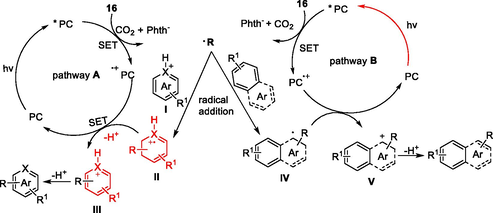 Mechanisms for Minisci-type alkylation of NHPI ester.