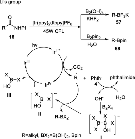 Iridium photoredox-catalysed synthesis of alkyl boronates and tetrafluoroborates.