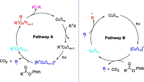Mechanisma of copper-catalysed photoinduction.