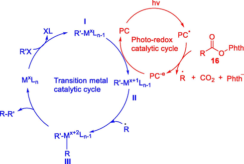Mechanism of dual catalysis.