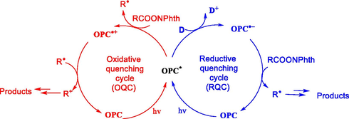 Mechanism of organic photoredox catalysts.
