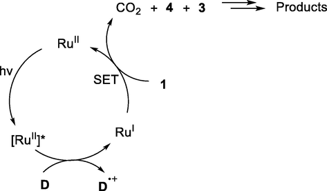 Mechanism of Ru-catalysed decarboxylative coupling.