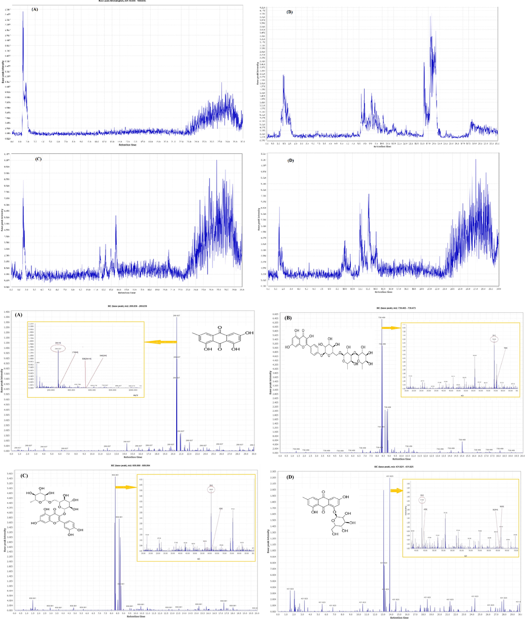 Chromatograms and corresponding mass adducts in the HM extracts of R. pallasii. (A) Total ion chromatogram (TIC) of fruit; (B) TIC of leaf; (C) TIC of bark; (D) TIC of root; (E) Emodin chromatogram (XIC) and mass adducts, m/z 269.837; (F) Kaempferol-4′-O-rhamninoside XIC and mass adducts, m/z 739.469; (G) Quercetin-3-O-robinobios XIC and mass adducts, m/z 609.991; (H) Emodin-1-glucoside XIC and mass adducts, m/z 431.823.