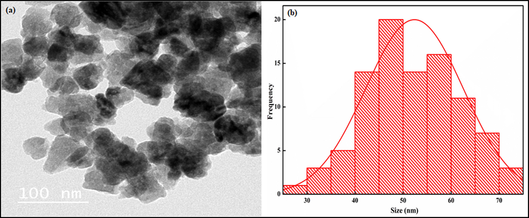 TEM micrographs of (a) Kao-Cel/Co3O4 nanocomposite and (b) histogram (based on 95 particles).