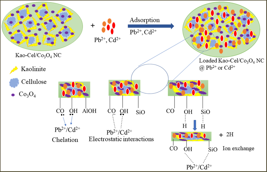 Plausible interaction mechanism of Pb2+/Cd2+ with Kao-Cel/Co3O4 nanocomposite surface.