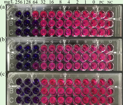 Minimum inhibitory concentration results of DDBAC against S. salmoneum(a), L. sphaericus(b), and A. lwoffii(c).