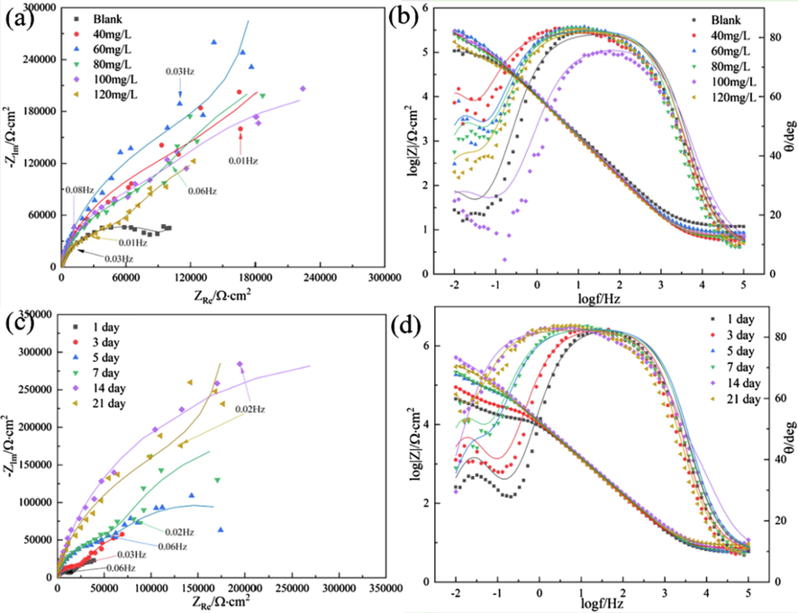 EIS of 7B04 aluminum alloy immersed in 3.5% NaCl solution with different concentrations of DDBAC for 21 days (a, b) and with 60 mg/L DDBAC over time (c, d).