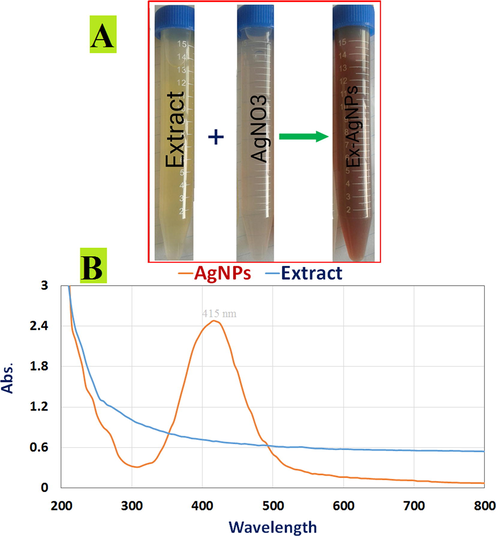 Biosynthesis of AgNPs confirmed. (A) Color changes in D. caffra extract after adding 1 mM aqueous AgNO3 solution for AgNP production; (B) UV–visible spectrum of AgNPs generated by D. caffra extract (Orange curve) and UV–visible spectrum of D. caffra extract.