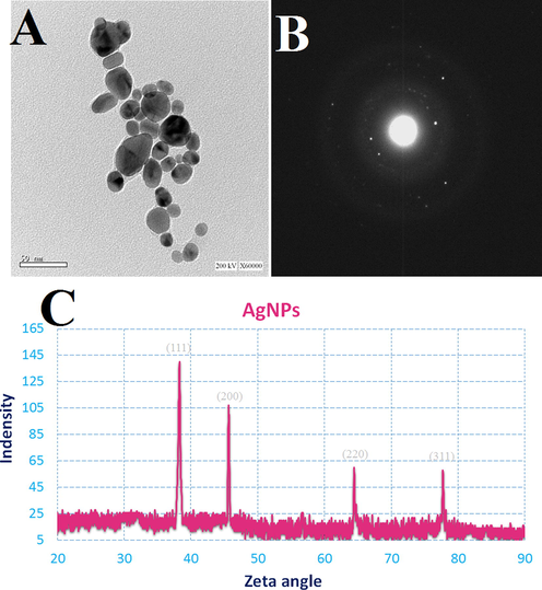 TEM image (A); SAED pattern (B); and XRD (C) of the synthesized AgNPs by D. caffra extract.