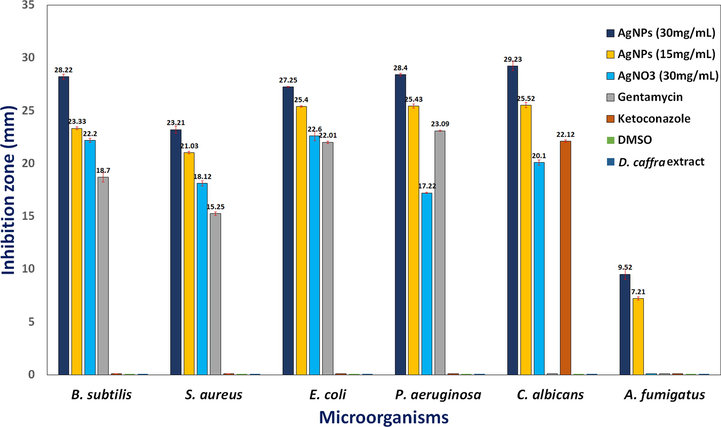 Antimicrobial activity of AgNPs synthesized by D. caffra extract against some pathogenic strains.