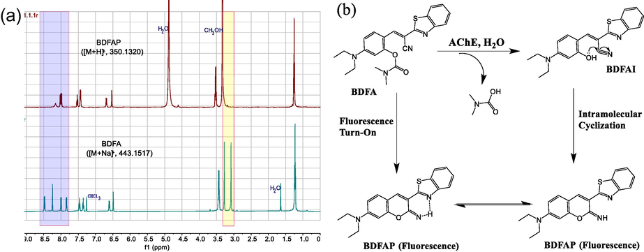 (a) Comparison of the 1H NMR spectra of BDFA and BDFAP. (b) Proposed reaction pathways for BDFA and AChE.