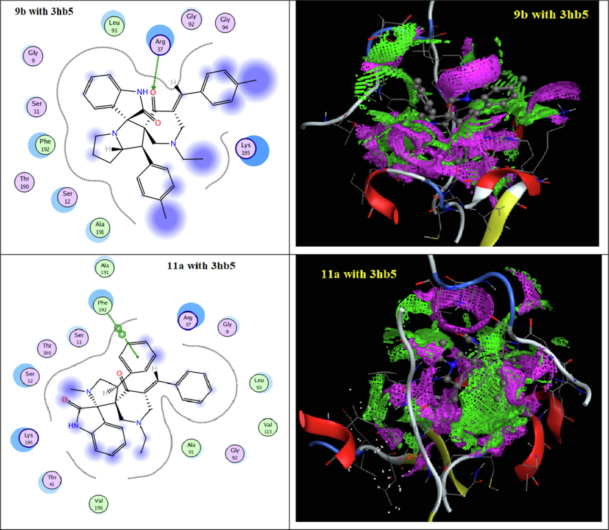 2D and contact performance of docked compounds 9b and 11a into the active site of 3hb5.