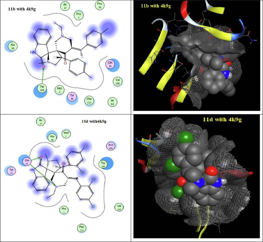 2D and surface interaction of docked compounds 11b and 11d into the active site of 4k9g.