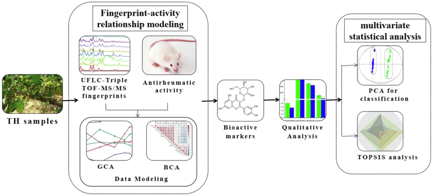 General strategy for the comprehensive quality evaluation of TH.