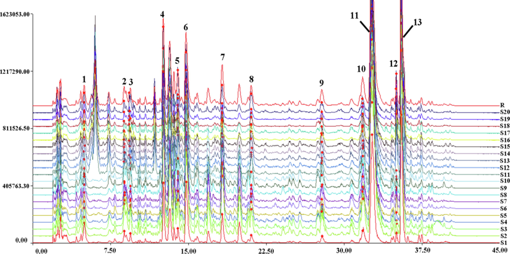 HPLC-Triple TOF-MS/MS fingerprints of 20 batches of Taxilli Herba samples.