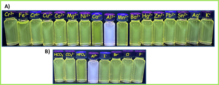 Digital camera photograph of L in the presence of metal ions (A) and anions (B) under 366 nm UV light.