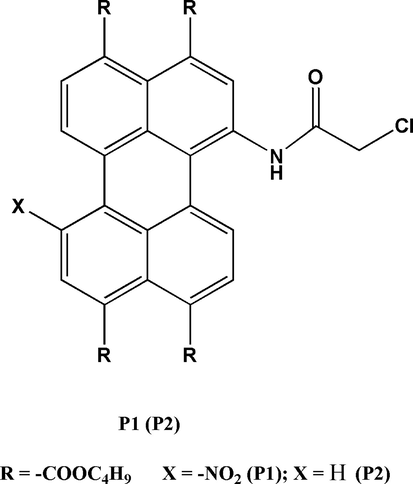 Structure of P1 and P2.