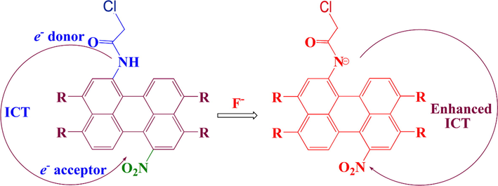 The proposed mechanism of interaction between P1 and F− anions.