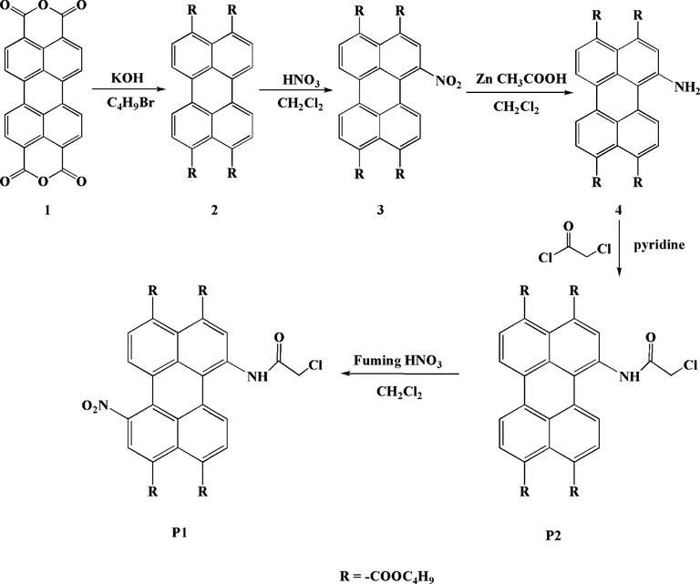 The synthesis route of P1 and P2.