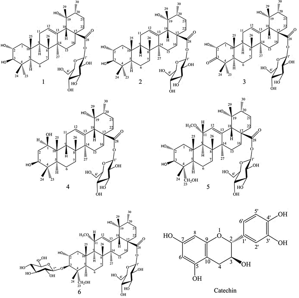 Structures of isolated compounds from P. reptans root.