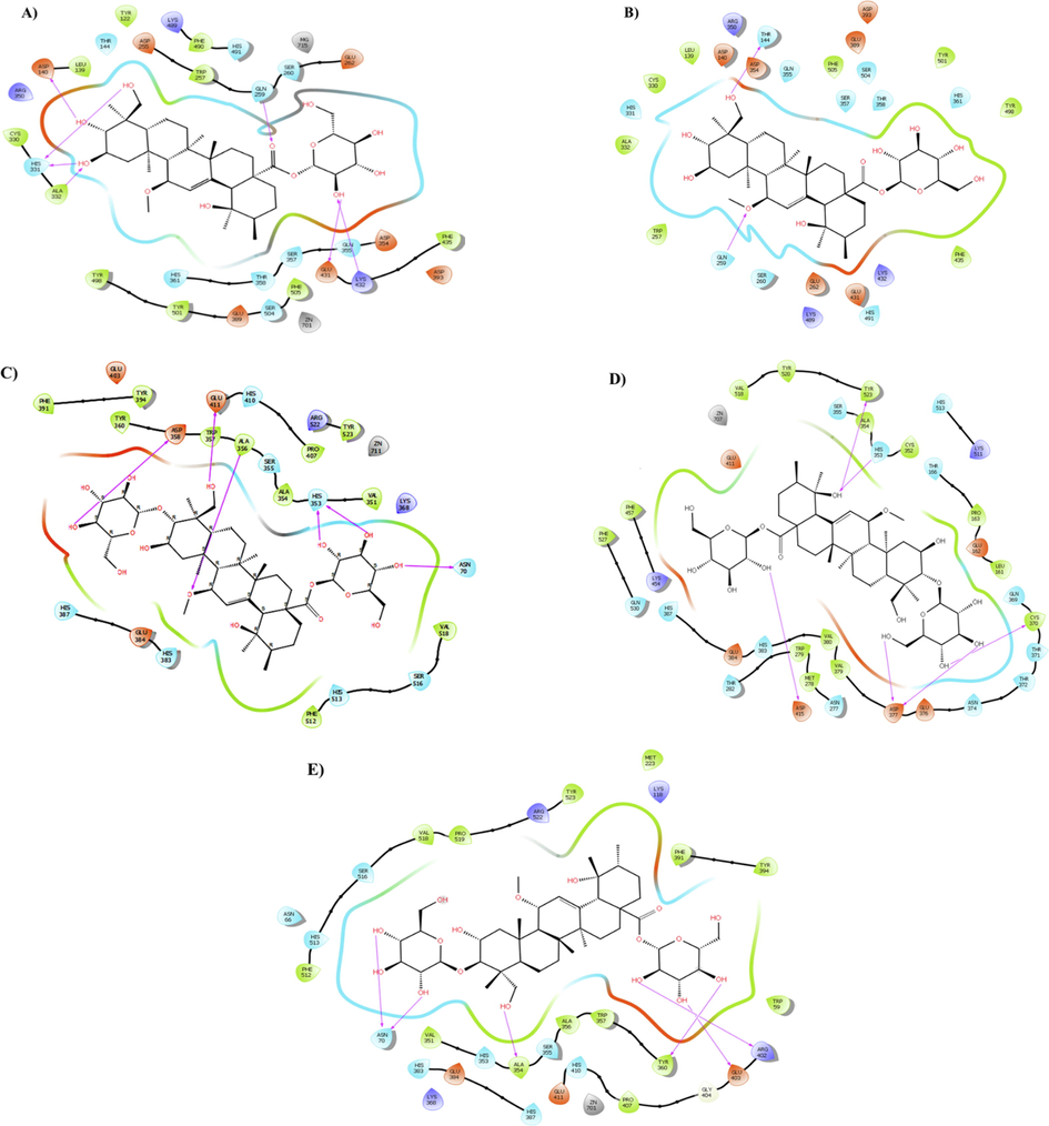 Presentation of 2D model of interactions between compound 5 (A-B) and compound 6 (C-E) on selective ACE domains. A) Compound 5 and nACE (PDB ID:6F9V); B) Compound 5 and nACE (PDB ID:6EN5); C) Compound 6 and cACE (PDB ID: 6F9T); D) Compound 6 and cACE (PDB ID: 6F9U); E) Compound 6 and cACE (PDB ID: 2OC2).