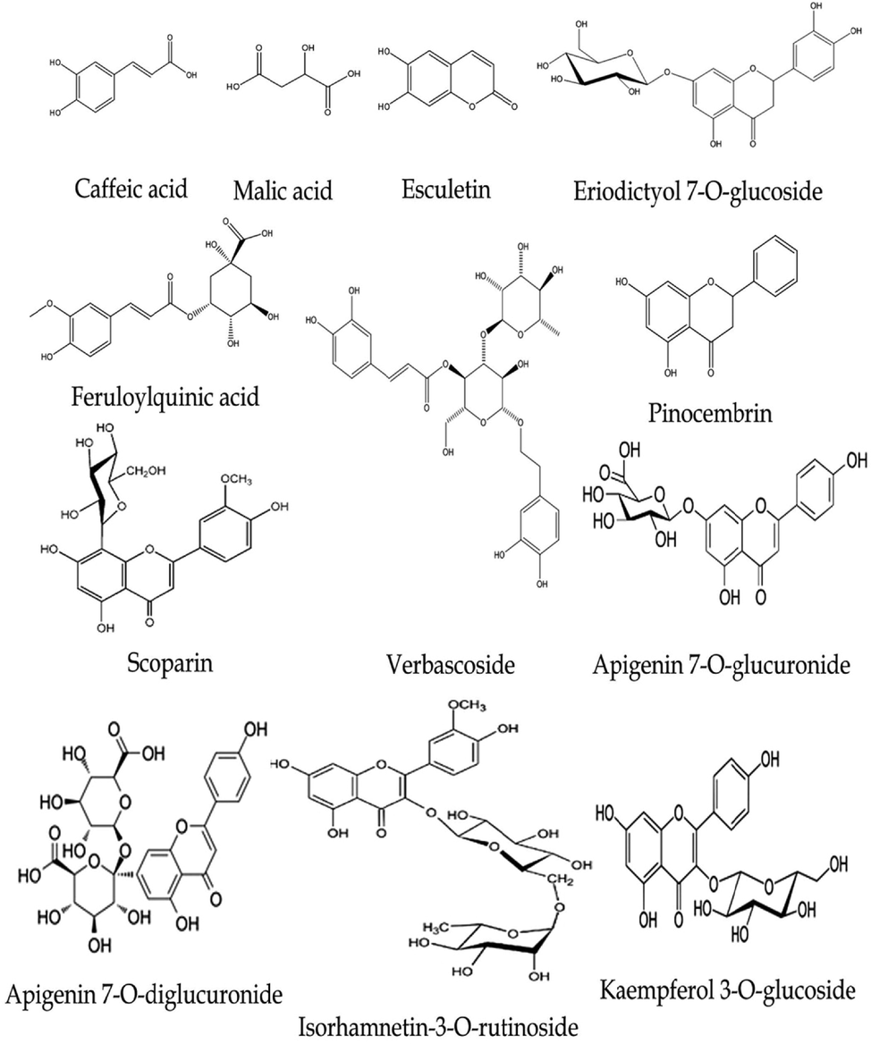 Chemical structures of some identified compounds in the n-butanol extract of V. officinalis.