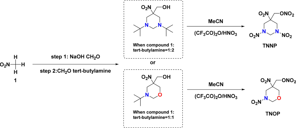 Synthetic pathway for TNNP and TNOP.