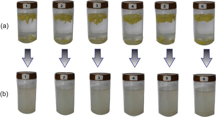 Bio-water (a) Papaya soaking at six grades. (b) Bio-water at different grades.