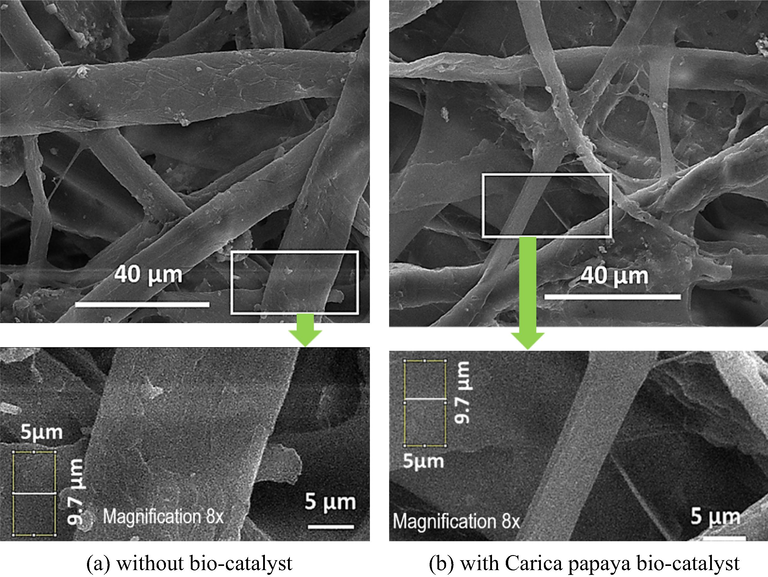 The SEM of both specimens.