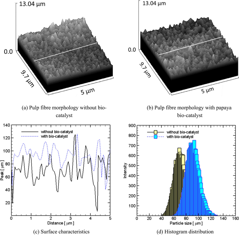 The morphology of pulp fibre.