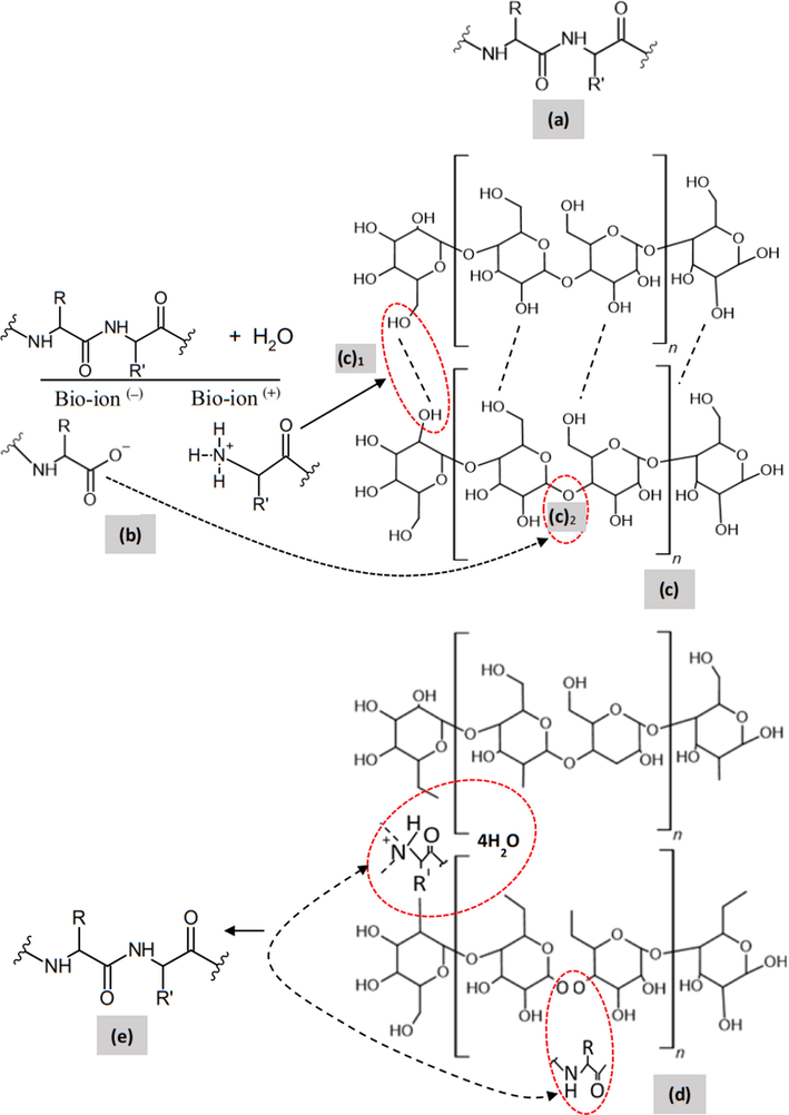 The chemical reaction of bio-catalyst in pulp.