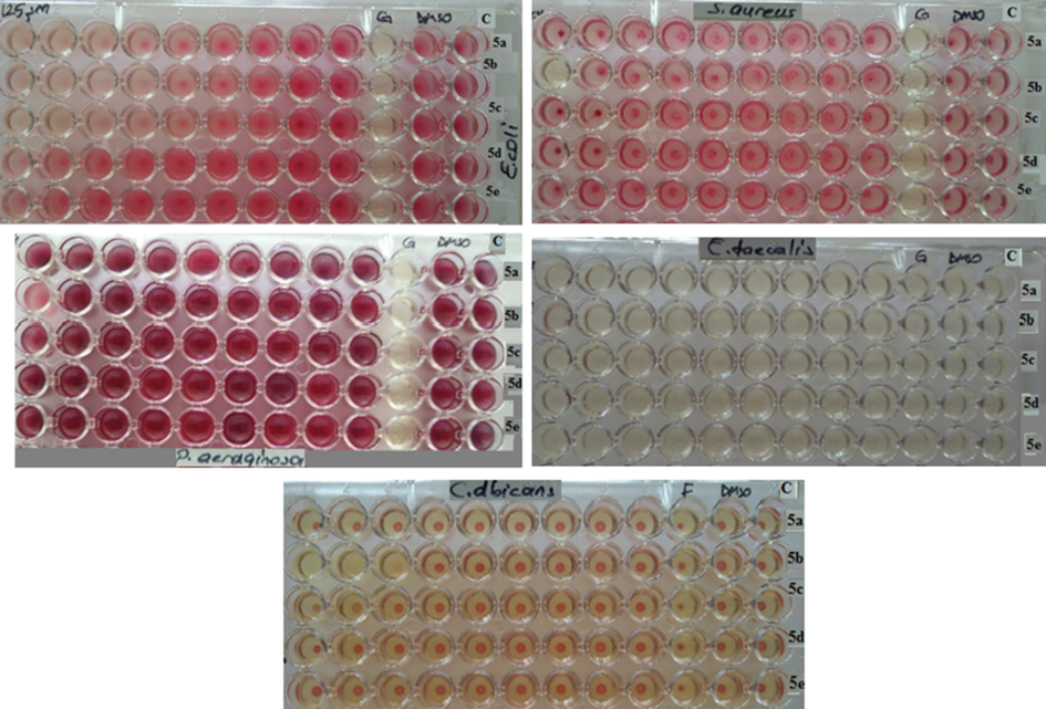 Determination of minimum inhibitory concentrations (MICs) of antimicrobial agents for compounds (5a-e).