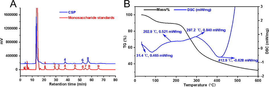 Analysis of physicochemical properties of CSP. Monosaccharide composition (A) analysis of CSP (1: mannose; 2: rhamnose; 3: glucuronic acid; 4: galacturonic acid; 5: glucose; 6: galactose; 7: xylose; 8: arabinose; 9: fucose). Thermal gravimetric analysis (TG) and differential scanning calorimetric (DSC) analysis of CSP (B).