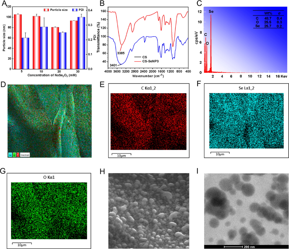 Characterization of CSP-SeNPs. The influence of sodium selenite concentration on the particle size and PDI of SeNPs (A). FT − IR spectra of CSP and CSP-SeNPs (B). EDS analysis of CSP-SeNP3 (C − G). SEM image of CSP-SeNP3 (H). TEM image of CSP-SeNP3 (I).