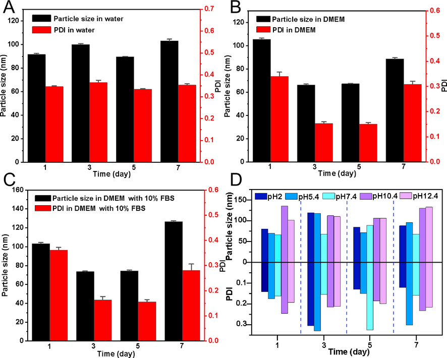 Stability analysis of CSP-SeNP3. The changes of particle size and PDI of CSP-SeNP3 in water (A), DMEM (B) and DMEM containing 10% FBS (C) for 7 days. The influence of pH on the stability of CSP-SeNP3 during 7 days of storage (D).