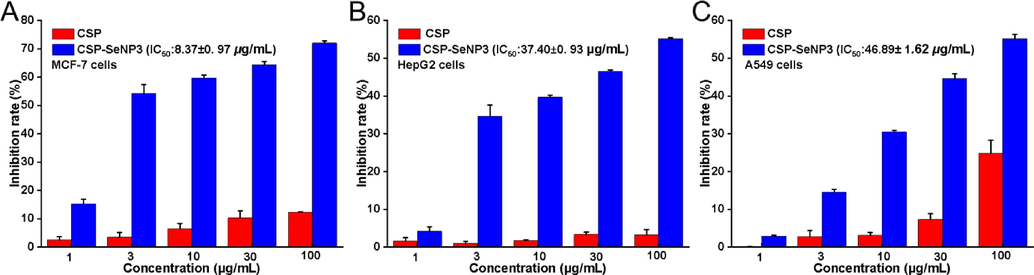 Inhibition rates of CSP and CSP-SeNP3 on tumor cells. Inhibition rates of CSP and CSP-SeNP3 on MCF-7 cells (A). Inhibition rates of CSP and CSP-SeNP3 on HepG2 cells (B). Inhibition rates of CSP and CSP-SeNP3 on A549 cells (C). Data from three separate experiments are expressed as means ± SD.