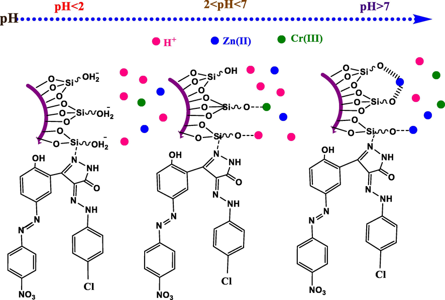 Adsorption mechanisms of SiO2-PYZ nanocomposite under different pH values.