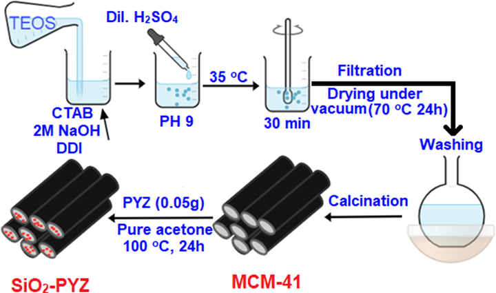 Mechanistic synthesis of mesoporous silica MCM-41 and SiO2-PYZ nanocomposite.