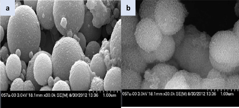 SEM texture of (a) mesoporous silica MCM-41 and (b) SiO2-PYZ nanocomposites.